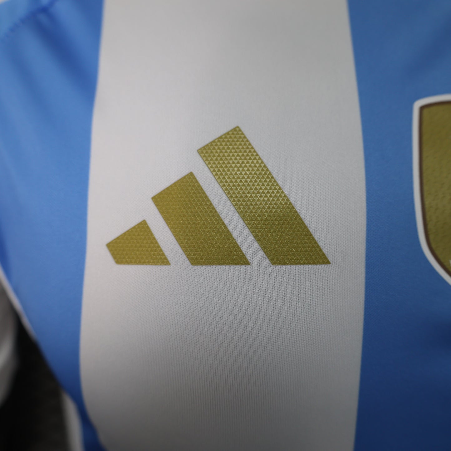 Maillots Domicile Argentine 2024-2025