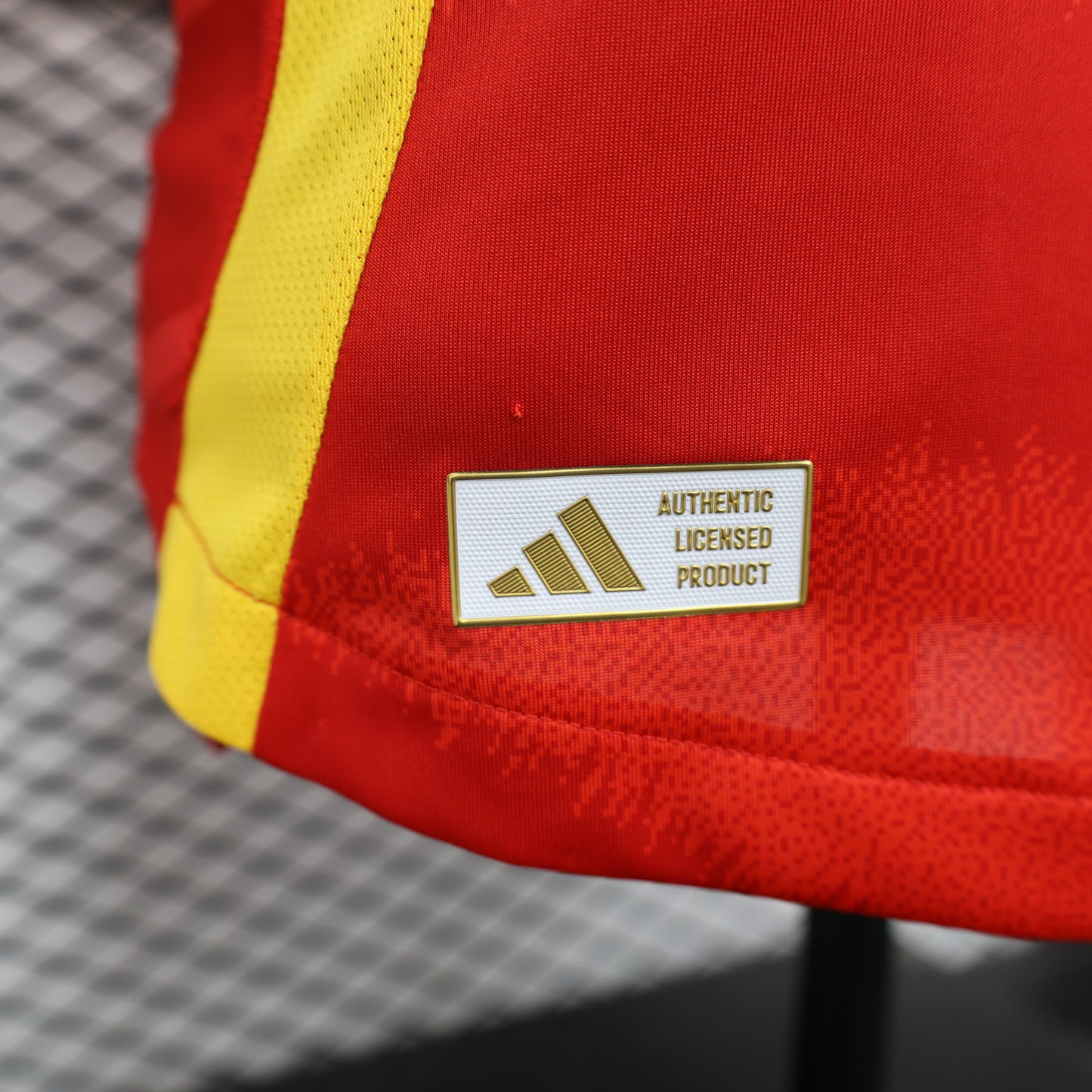 Maillots Domicile Espagne 2024-2025