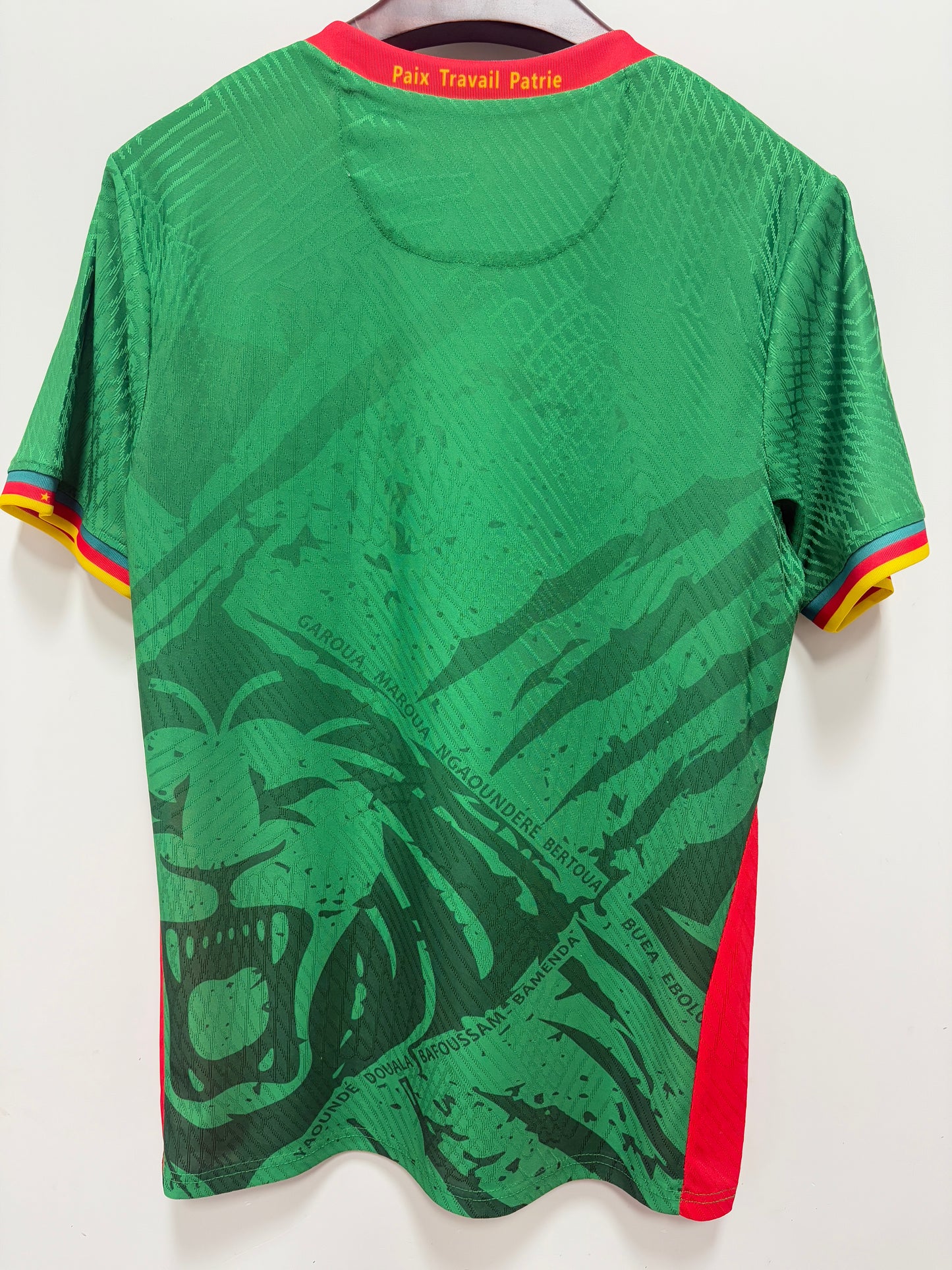 Maillot Cameroun Domicile 2025