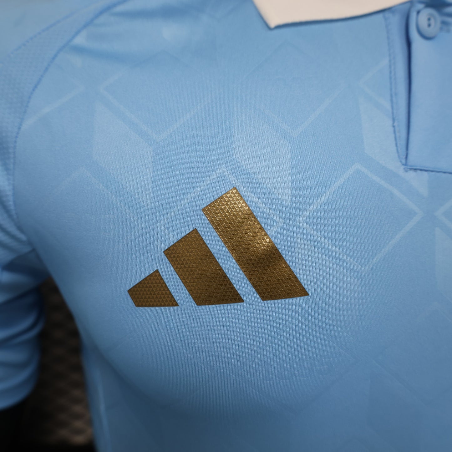 Maillots Exterieur Belgique 2024-2025