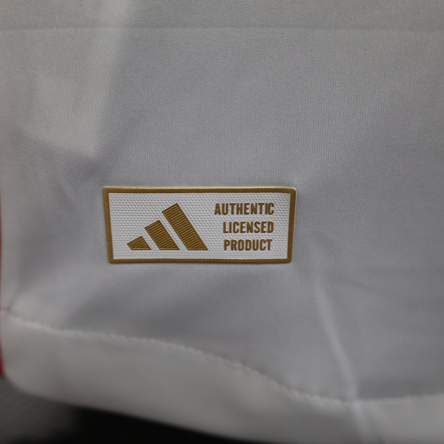 Maillot Domicile Olympique Lyonnais 2024-2025