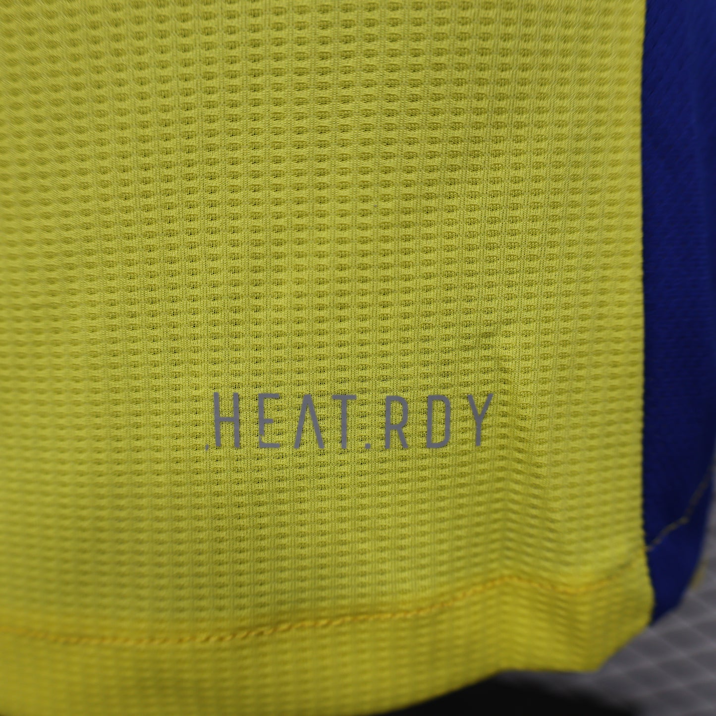 Maillot Domicile AL Nassr 2024-2025