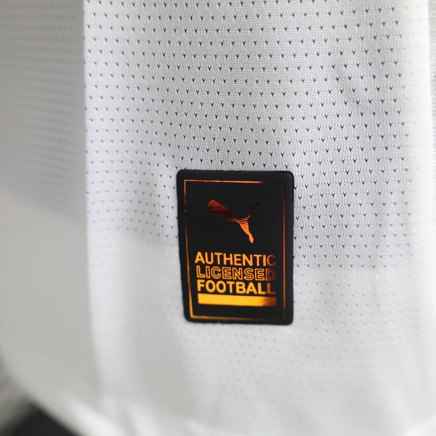 Maillot Exterieur Galatasaray 2024-2025