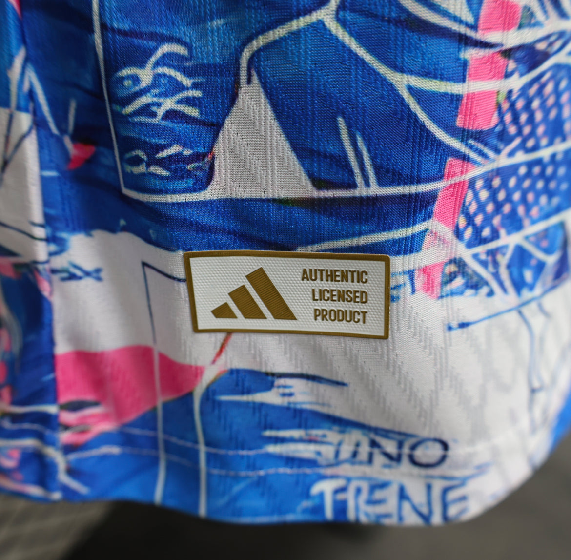 Maillot Special Vegeta Bleu Japon