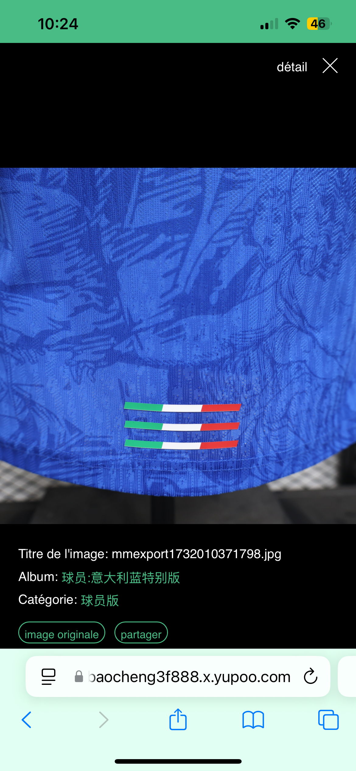 Maillot Spécial Bleu CRLCIO Italie