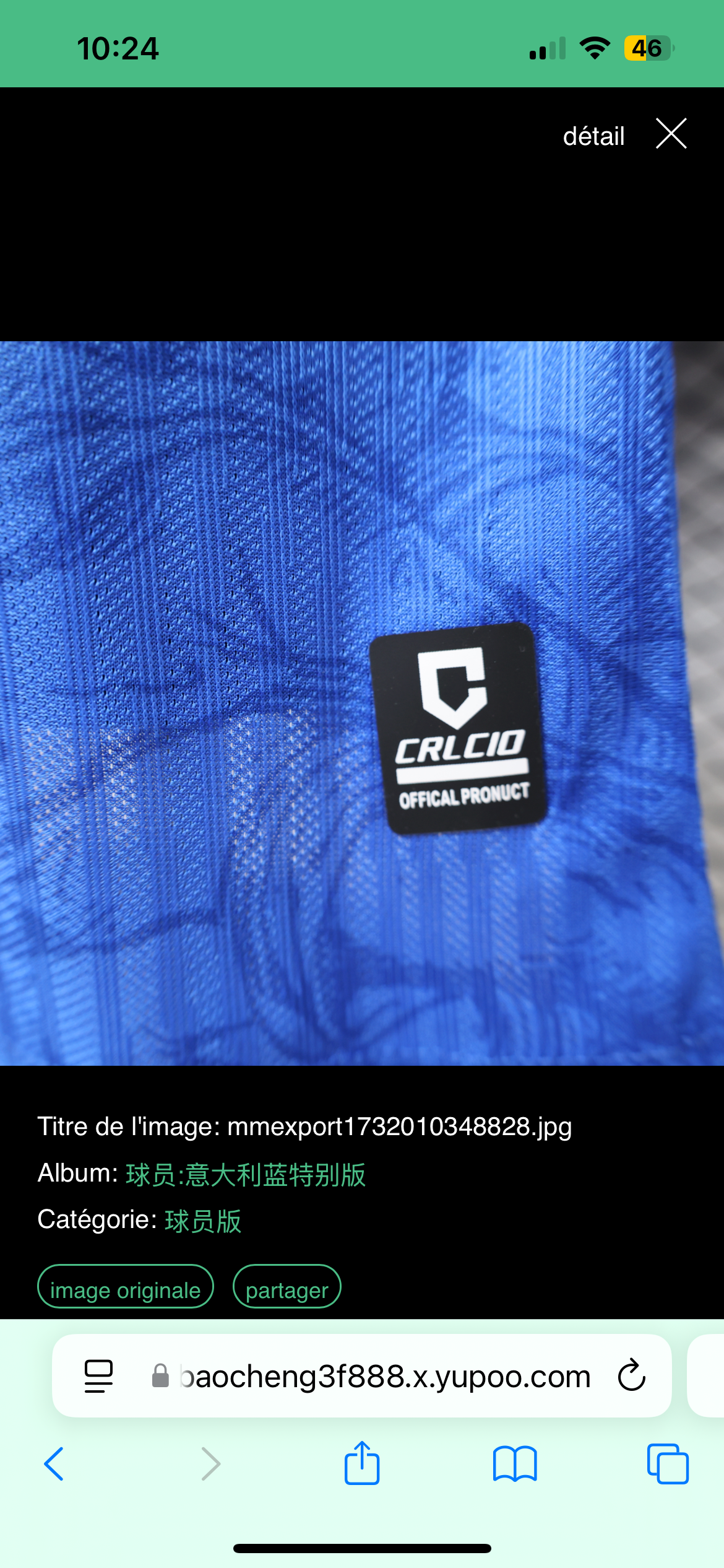 Maillot Spécial Bleu CRLCIO Italie