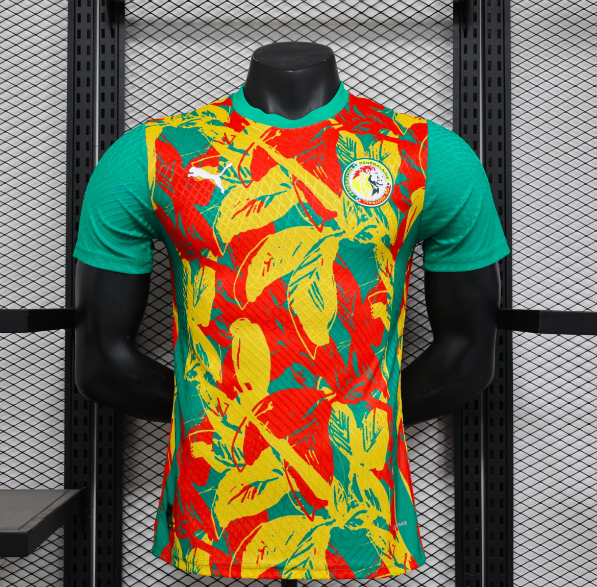 Maillot Avant Match Sénégal 2025