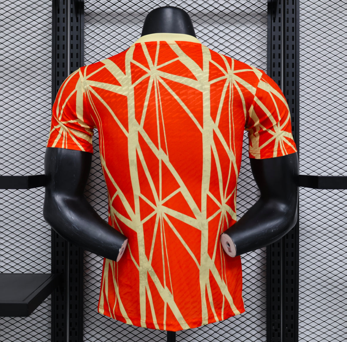 Maillot Avant Match Bayern Munich 2024-2025