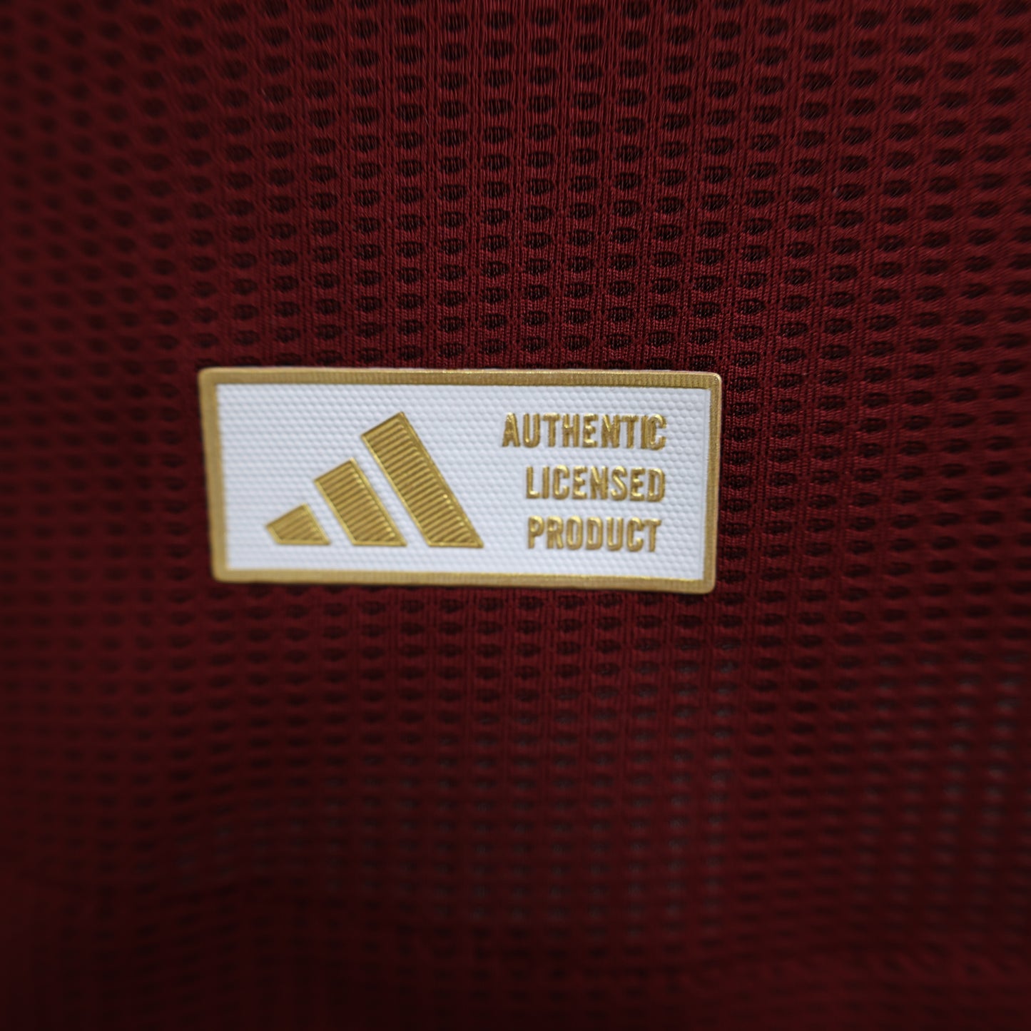 Maillot Domicile Aston Villa 2024-2025