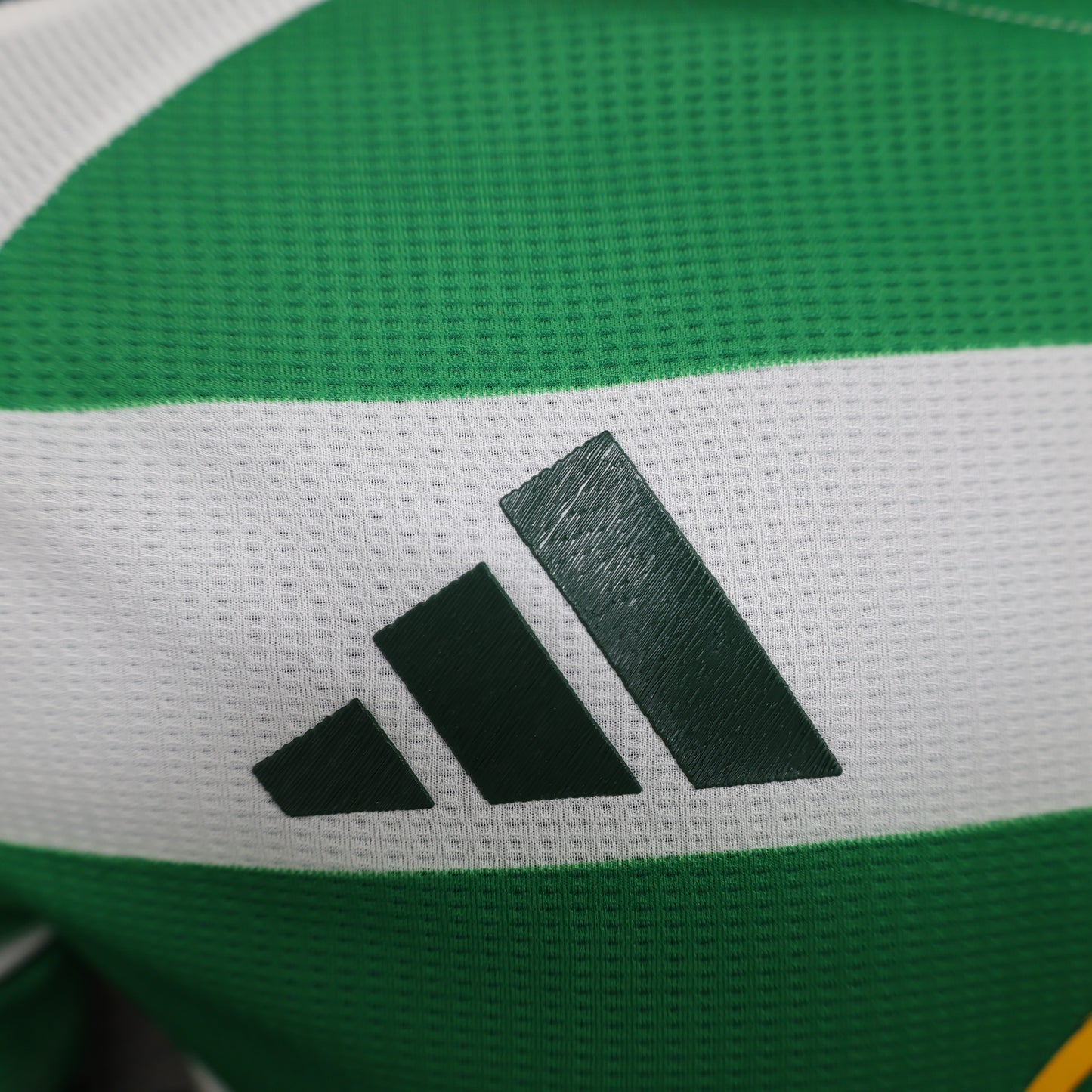 Maillot Domicile Celtic FC 2024-2025