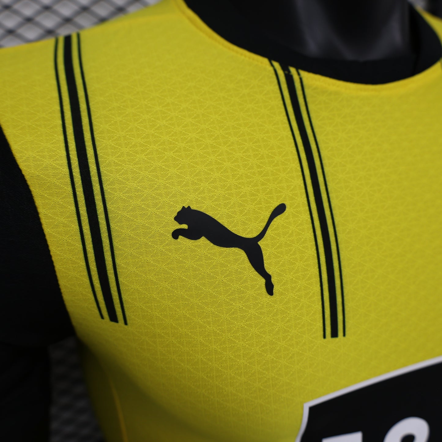 Maillot Domicile Borussia Dortmund 2024-2025