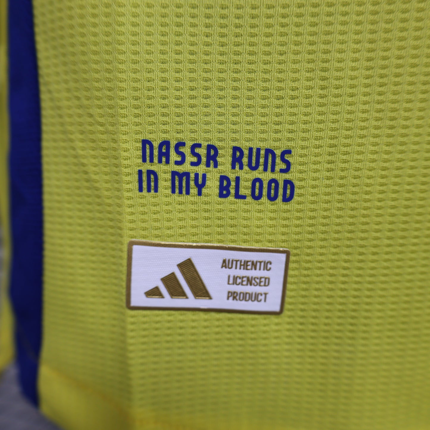 Maillot Domicile AL Nassr 2024-2025