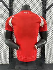 Maillot Domicile Chili 2024-2025