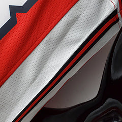 Maillot Icon Edition 75 eme anniversaire Michael Jordan Chicago Bulls