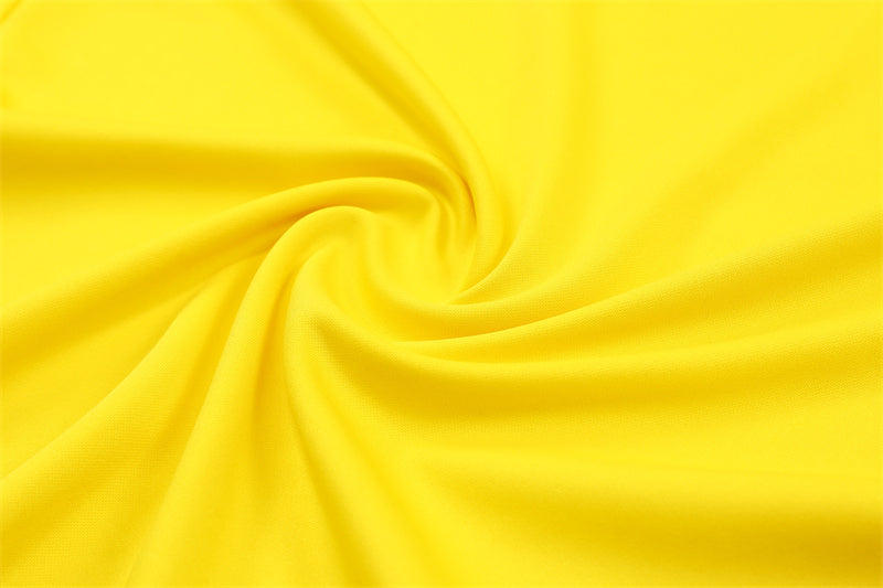 Survêtement Borussia Dortmund Entrainement Jaune 2024-2025