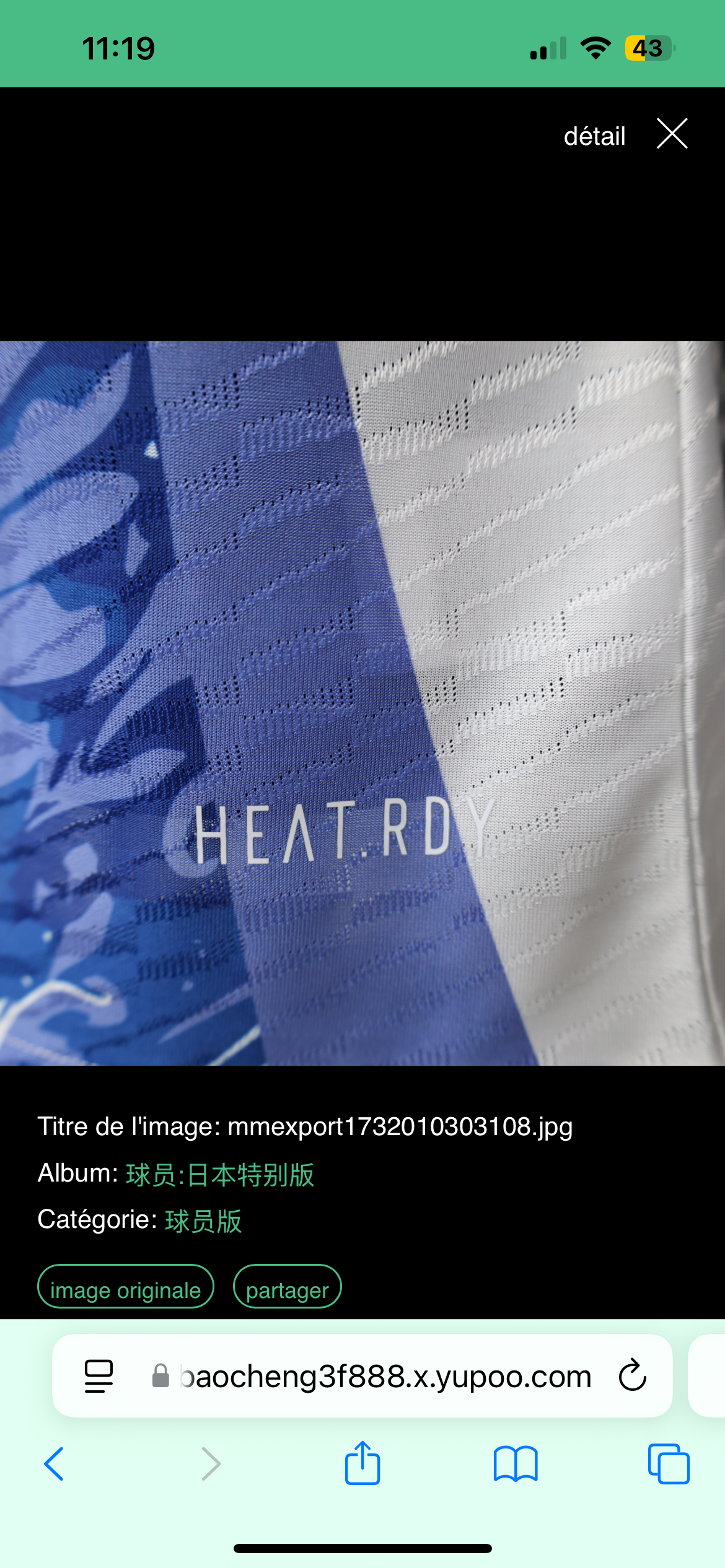 Maillot Special Dragon Bleu Japon