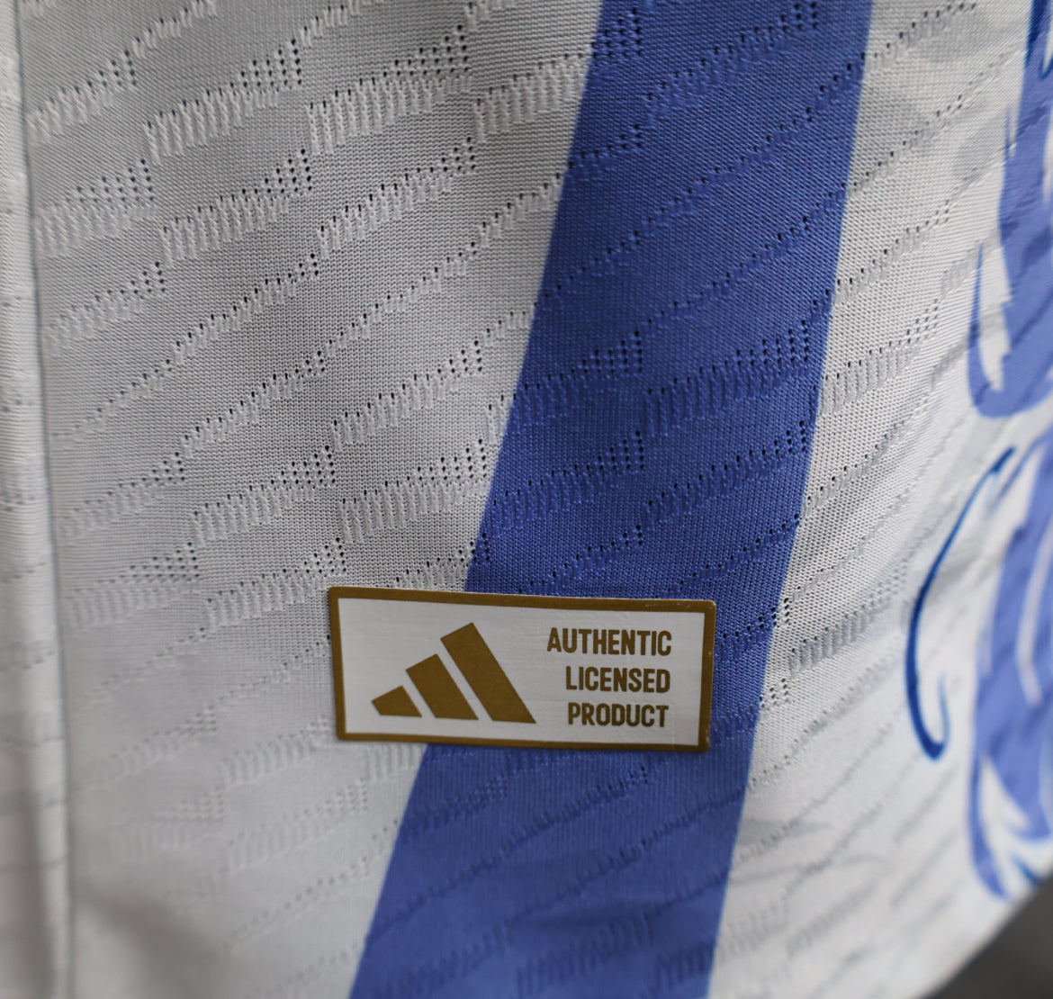 Maillot Special Dragon Bleu Japon