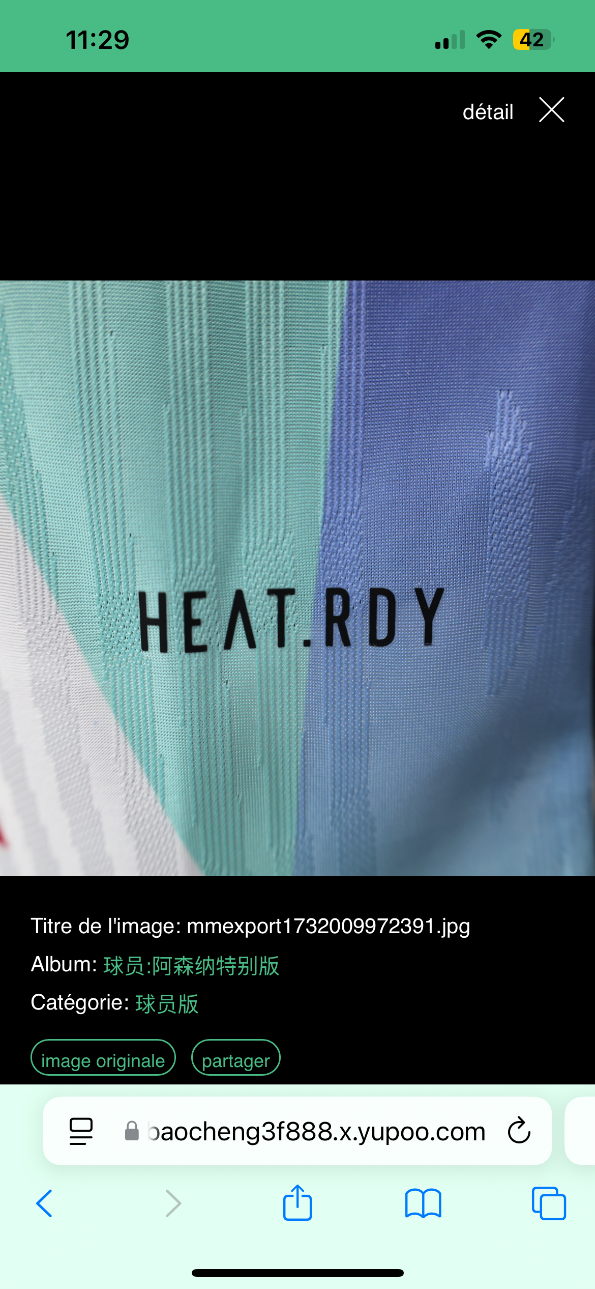 Maillot Avant Match Arsenal 2024-2025
