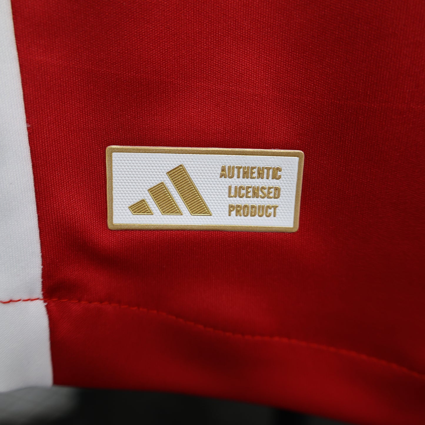 Maillot Domicile Ajax Amsterdam 2024-2025