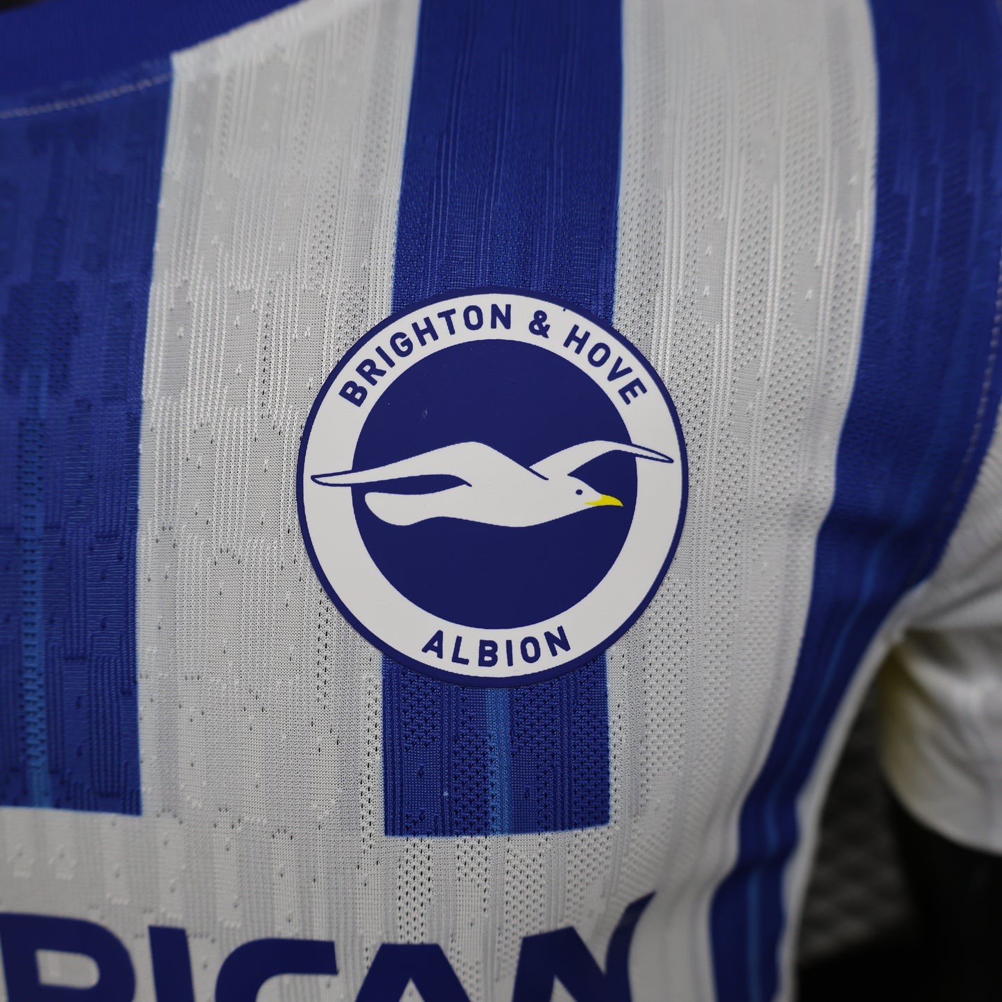 Maillot Domicile Brighton Albion 2024-2025
